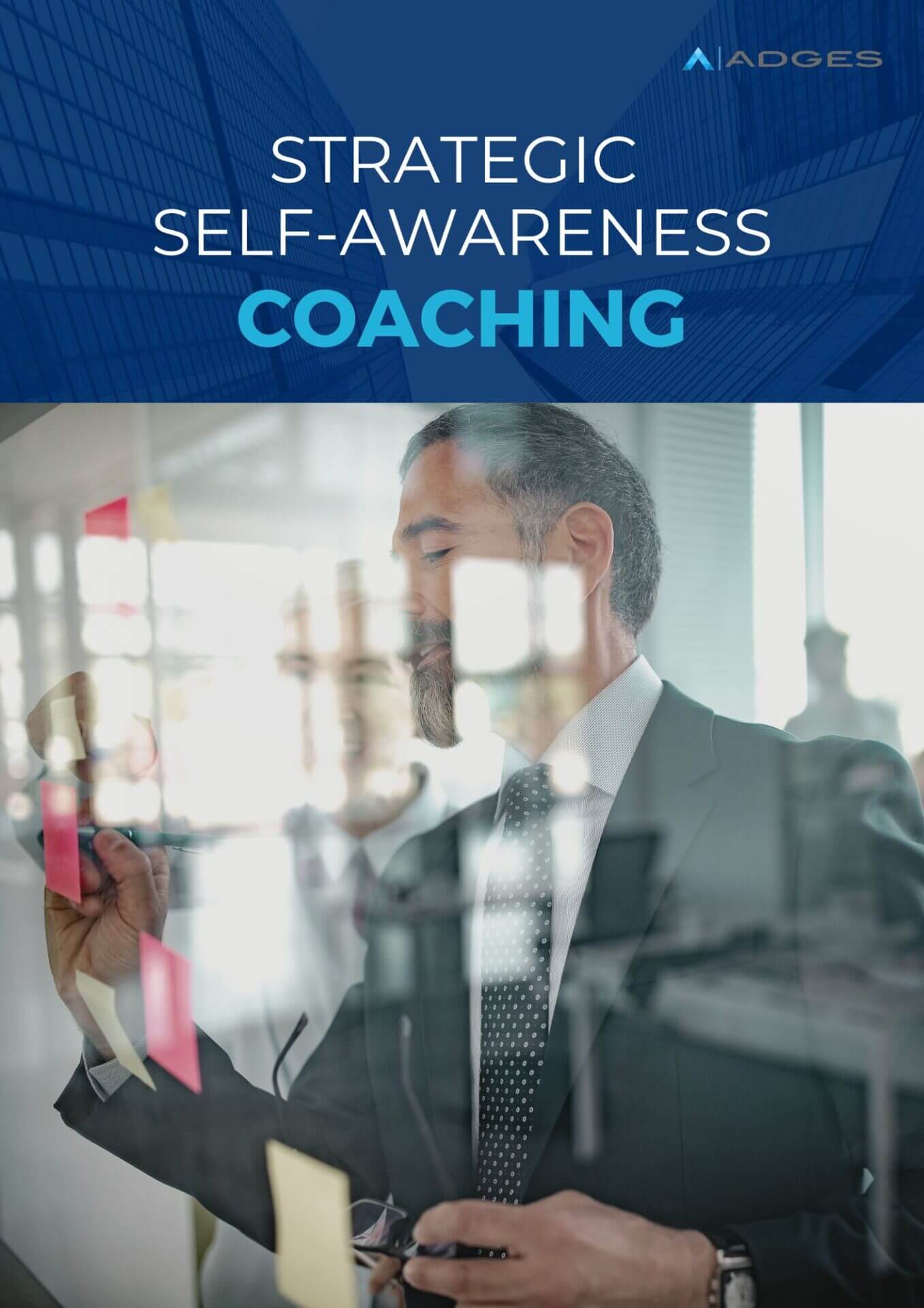 E Book Strategic Self awareness
